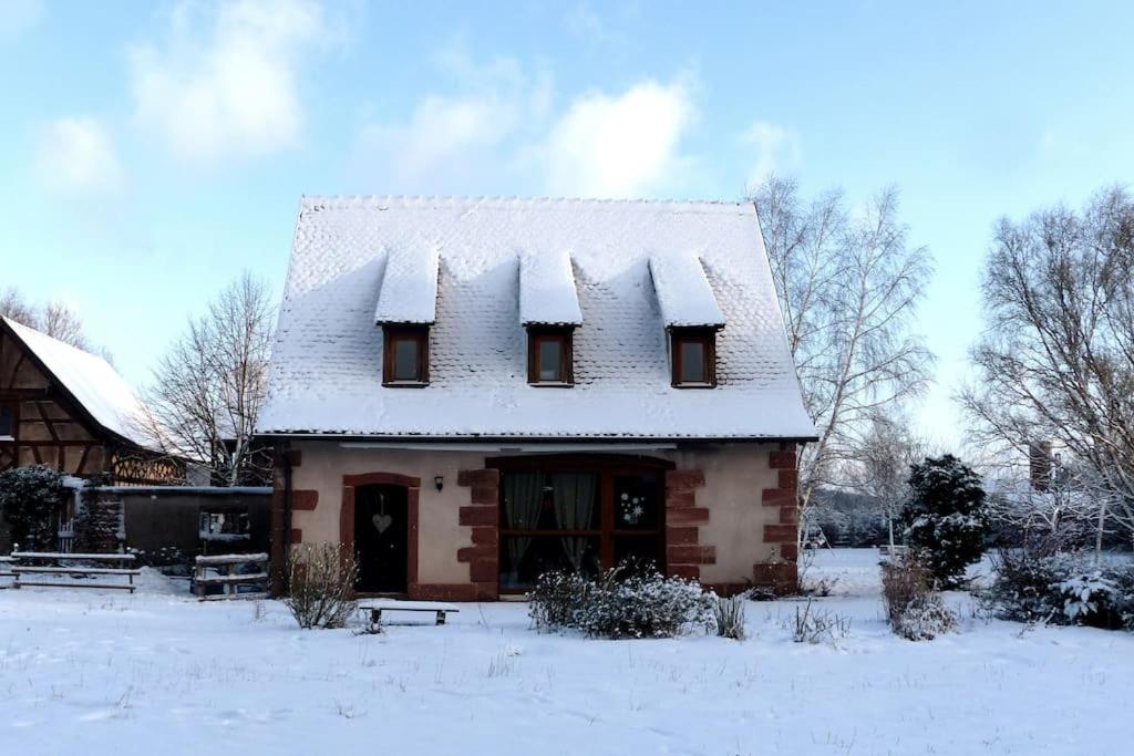 Gite Les Cigognes Neuwiller-lès-Saverne Esterno foto